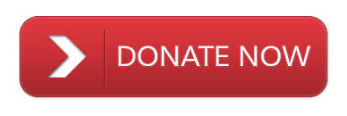 Donate Now Donate Now